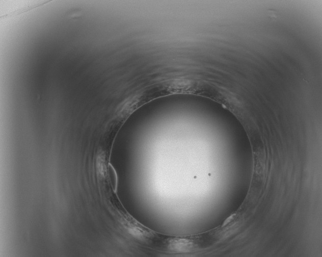 X0000060570287200511101638