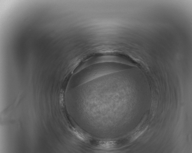 X0000060570288200511101638