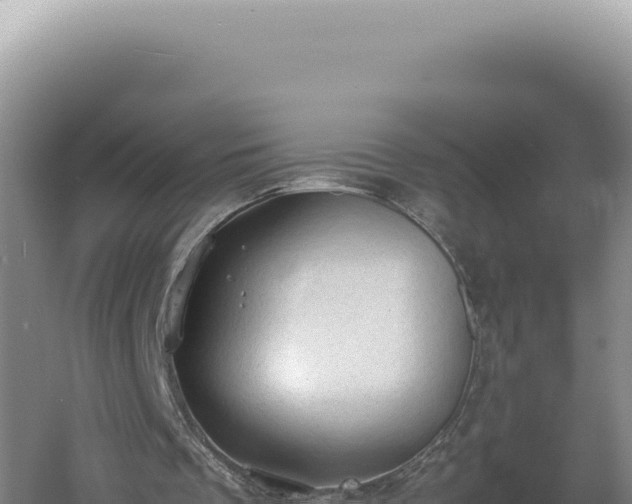 X0000060570289200511101637