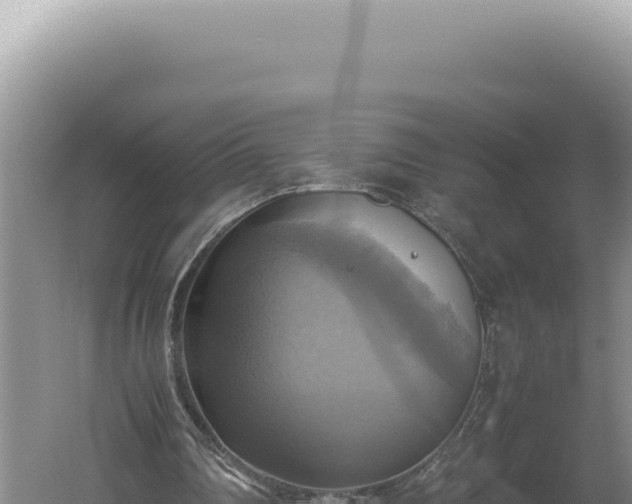 X0000060570290200511101637