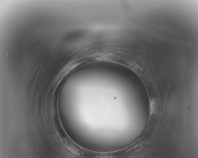 X0000060570291200511101637