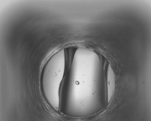 X0000060570293200511101637