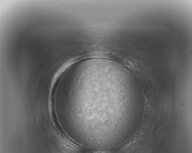 X0000060570294200511101637