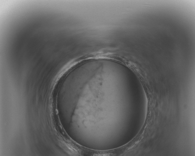 X0000060570295200511101637