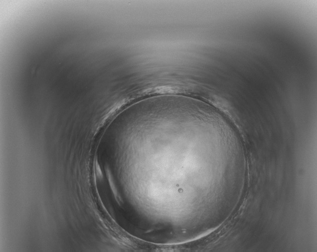 X0000060570297200511101637