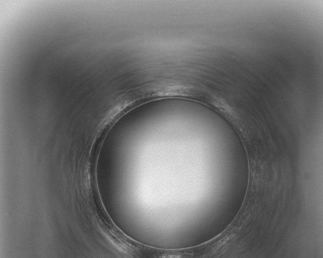 X0000060570298200511101637