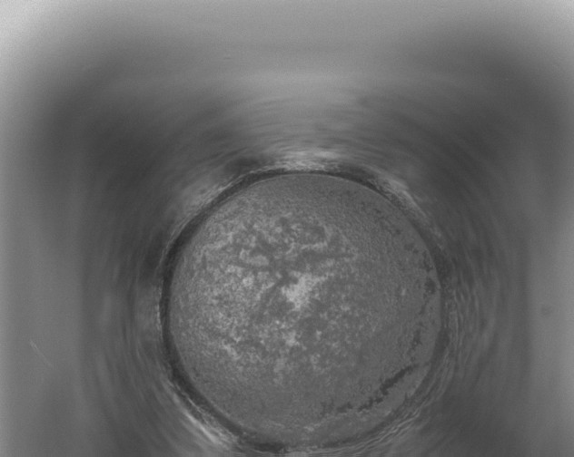 X0000060570299200511101637