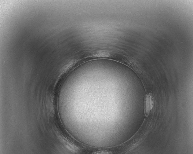 X0000060570300200511101637