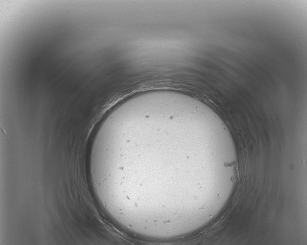 X0000060570301200511101637