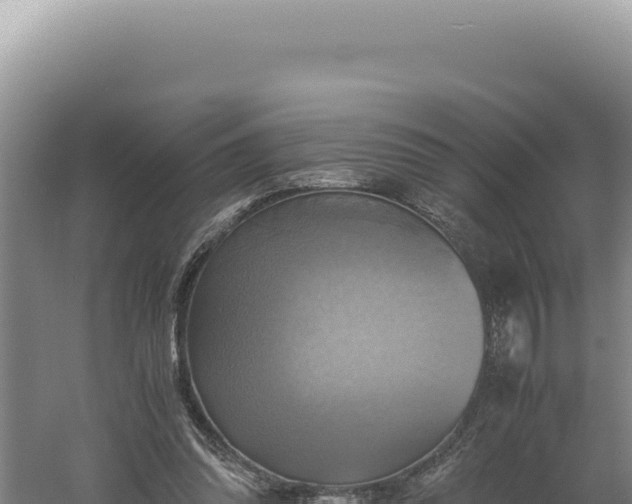 X0000060570302200511101637