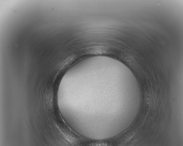 X0000060570304200511101637