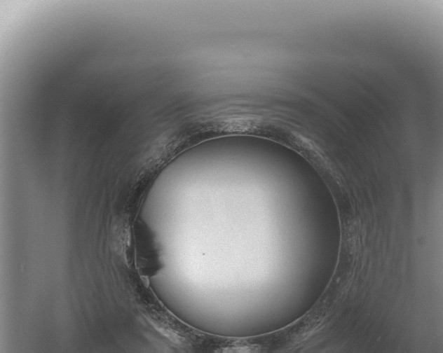 X0000060570307200511101636