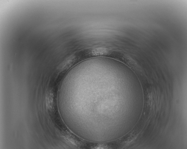 X0000060570308200511101636