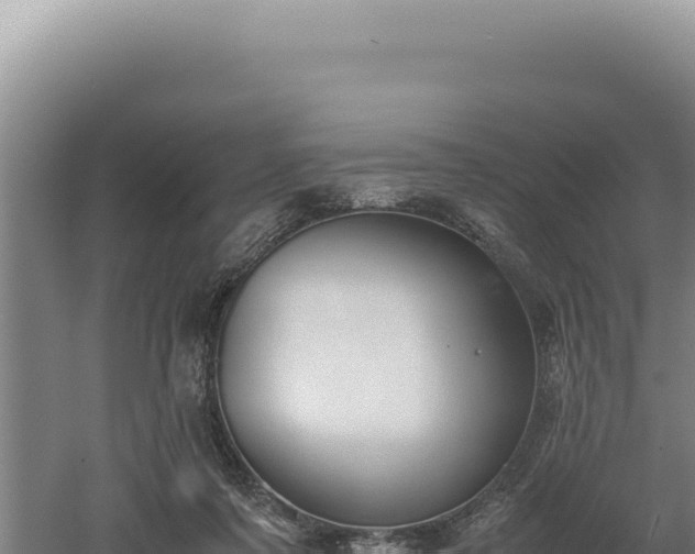 X0000060570311200511101636