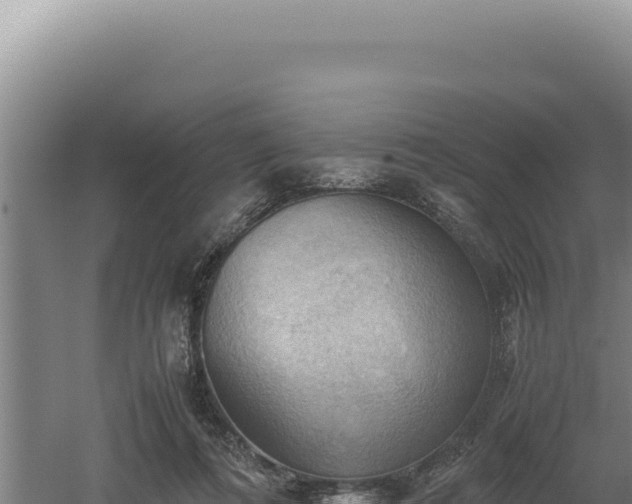 X0000060570312200511101636