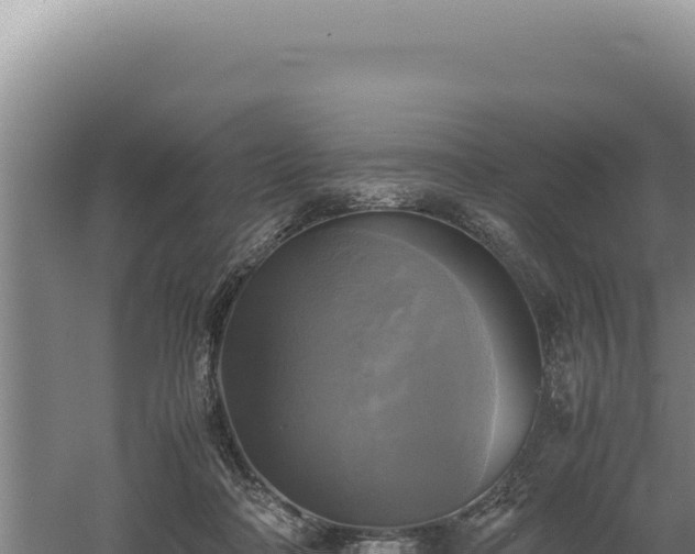 X0000060570314200511101636