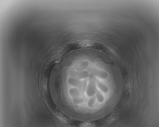 X0000060570315200511101636