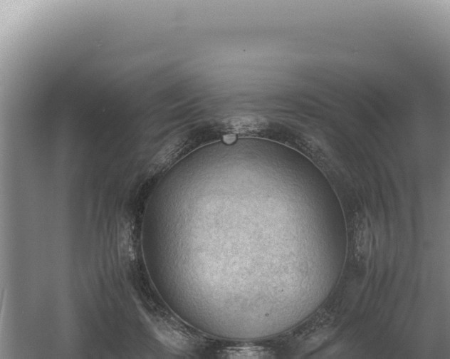 X0000060570316200511101636