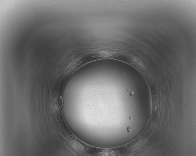 X0000060570317200511101636