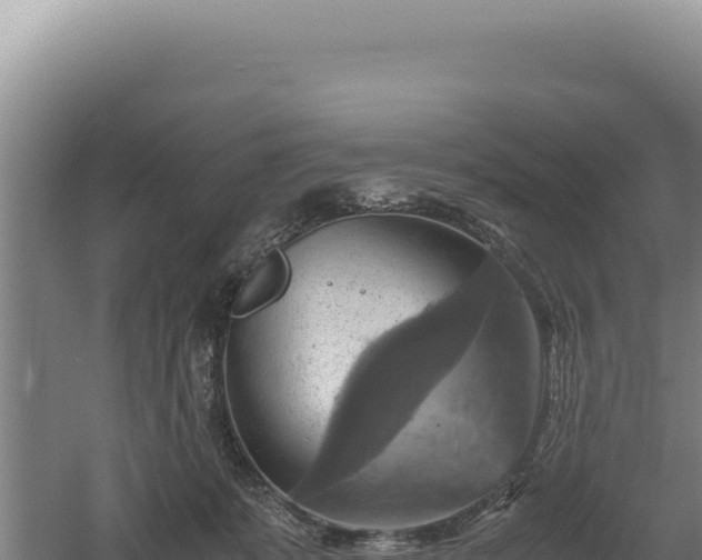 X0000060570319200511101636