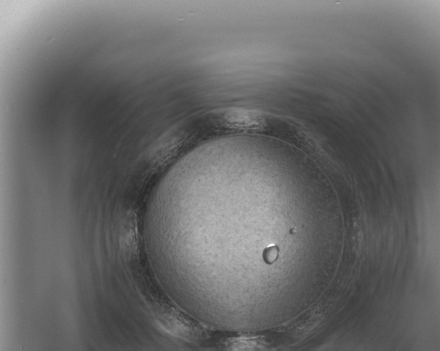 X0000060570320200511101636