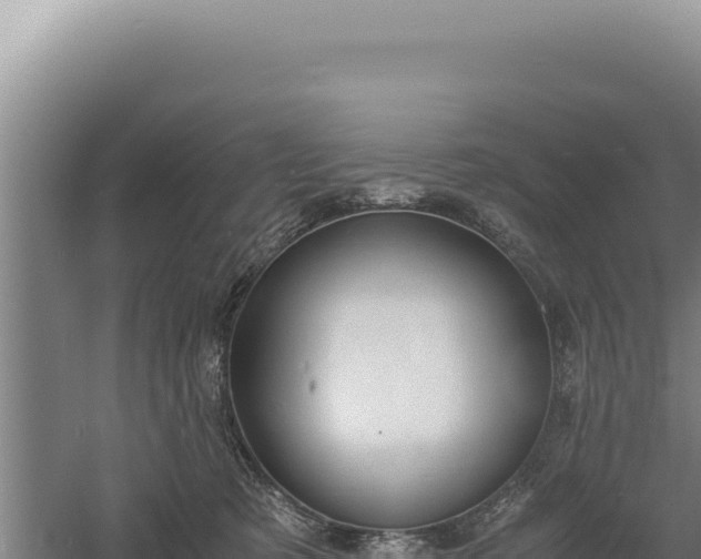 X0000060570321200511101636