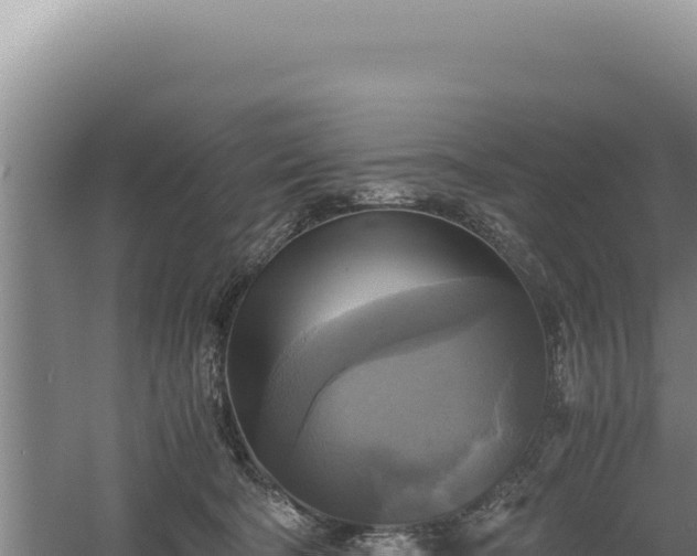 X0000060570322200511101636