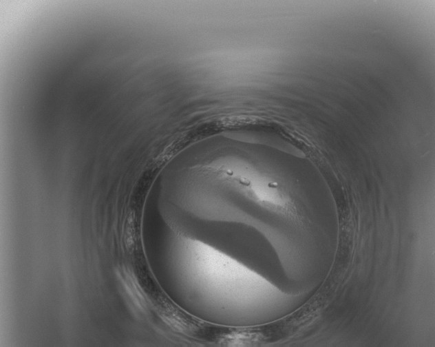 X0000060570323200511101636