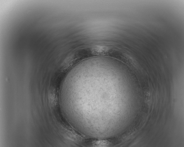 X0000060570324200511101636