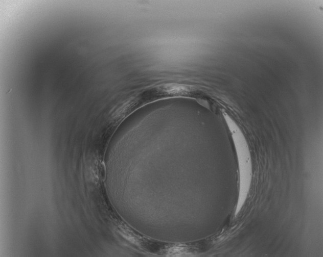 X0000060570325200511101636