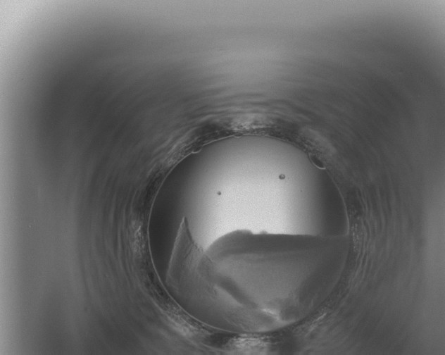 X0000060570327200511101636