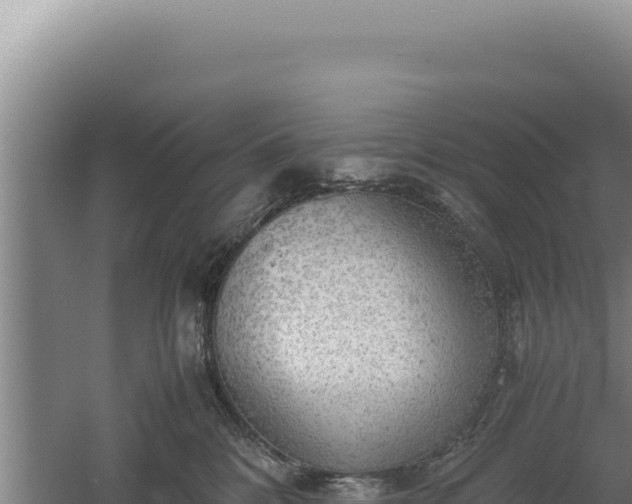 X0000060570328200511101636