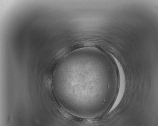 X0000060570329200511101636