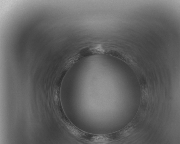 X0000060570331200511101636