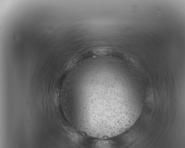 X0000060570332200511101636