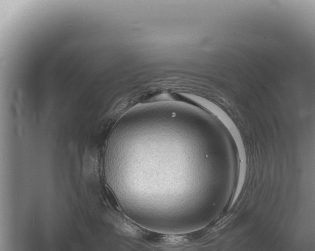 X0000060570333200511101636