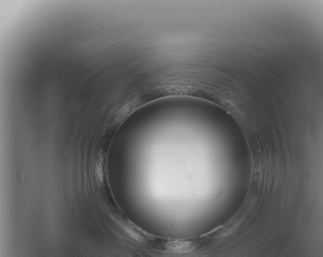 X0000060570334200511101636