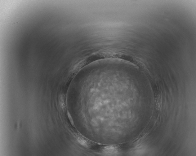 X0000060570335200511101636