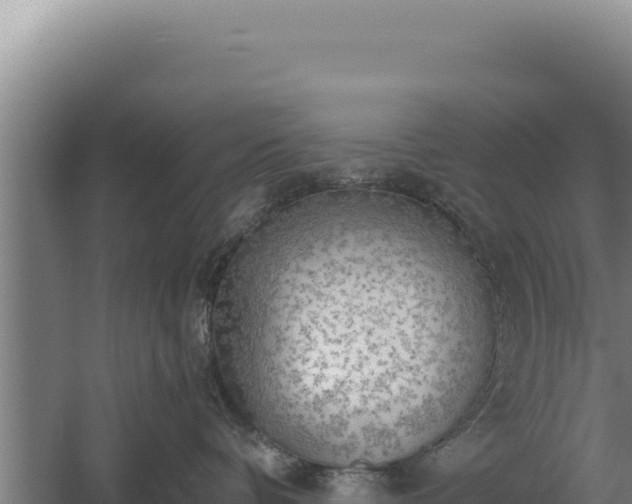 X0000060570336200511101636