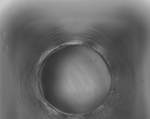 X0000060570337200511101635