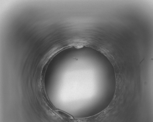 X0000060570338200511101635