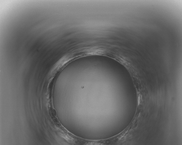 X0000060570339200511101635