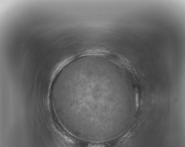 X0000060570340200511101635