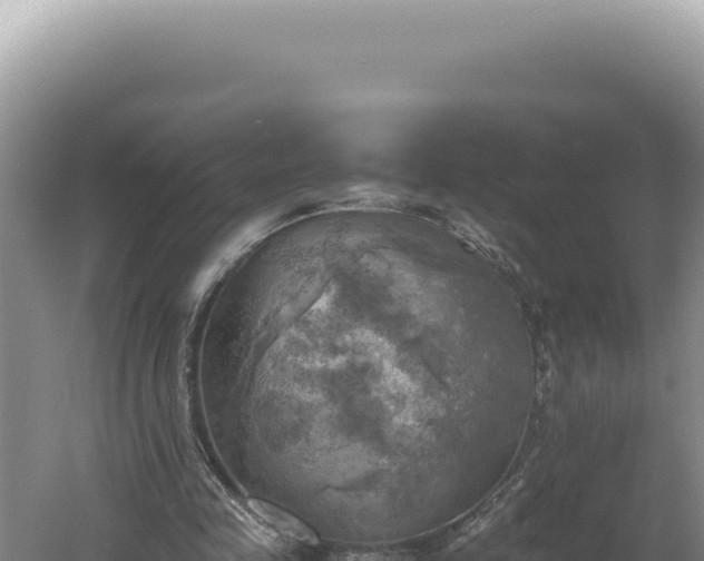 X0000060570341200511101635