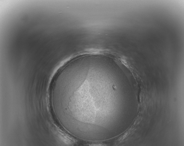 X0000060570342200511101635