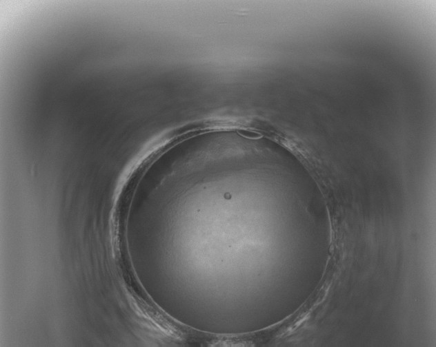 X0000060570343200511101635