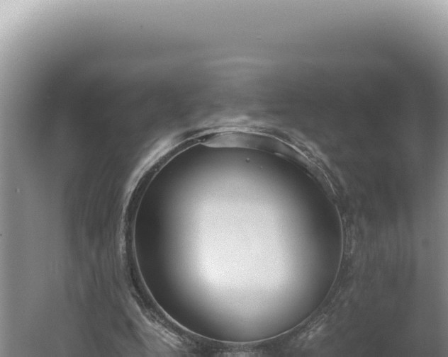 X0000060570344200511101635