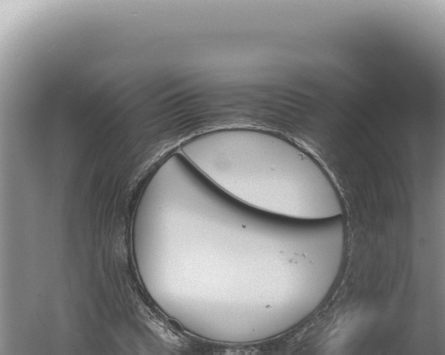 X0000060570345200511101635