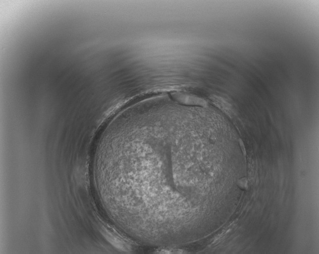 X0000060570346200511101635