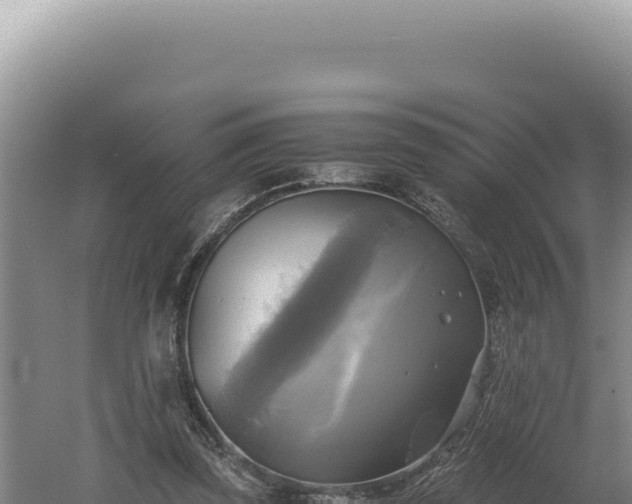 X0000060570347200511101635